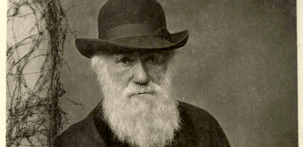 Charles Darwin uit 1881