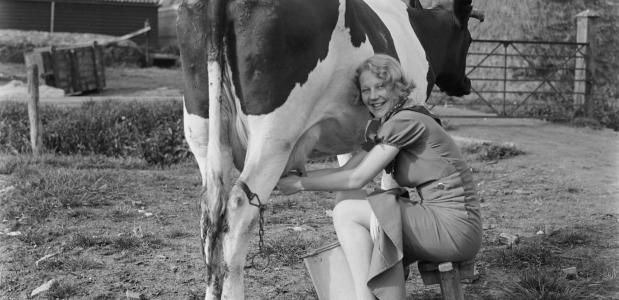 Melkproductie in 1933