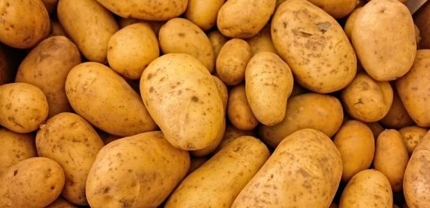 Geschiedenis van de aardappel | IsGeschiedenis