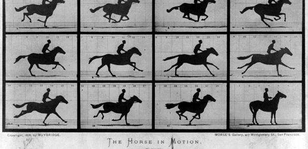 Muybridge. Horse in Motion