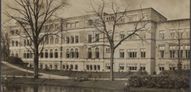 geschiedenis nederlandse universiteiten