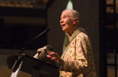 Jane Goodall tijdens een toespraak.