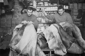 Britse officieren maken slaapzakken op de expeditie naar Antarctica 1910 - 1913 (Wikimedia Commons)