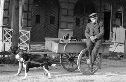 Twee honden aan het werk voor een kar, Zoekplaatjes.nl, Public domain, via Wikimedia Commons