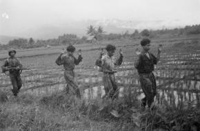 Drie Republikeinse strijders komen met de handen omhoog uit een rijstveld, onder schot gehouden door een KNIL-milita