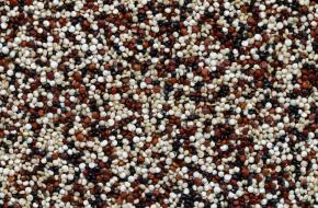 Uit archeologisch onderzoek blijkt dat quinoa al millennialang wordt gegeten.
