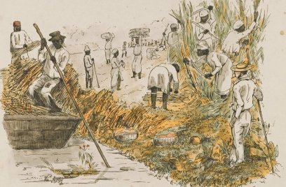 Bron: Collectie Wereldmuseum (v/h Tropenmuseum), part of the National Museum of World Cultures, CC BY-SA 3.0, via Wikimedia Commons Koloniale verleden Suriname