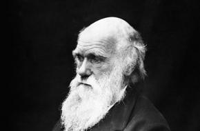 De Engelsman Charles Darwin werd wereldberoemd met zijn evolutietheorie.
