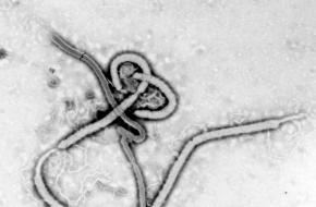 De geschiedenis van Ebola