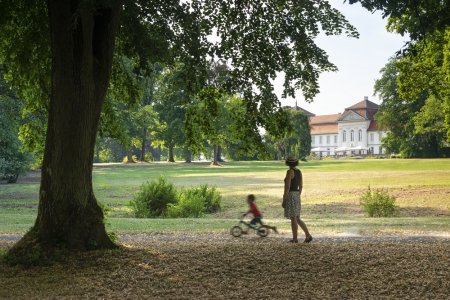 De tuinen van de Fasanerie in Fulda, grasvelden omringd door grote groene bomen en een paleis op de achtergrond