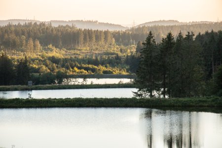 En bijzondere natuur langs de Kloosterwandelroute Harz