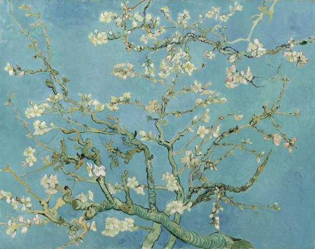 Vincent van Goghs Amandelbloesem.