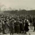 Auschwitz, mei-juni 1944