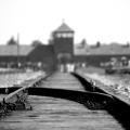 Auschwitz geschiedenis