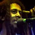 Reggae Bob Marley